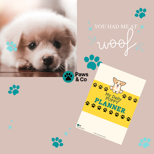 Daily Puppy Routine Planner